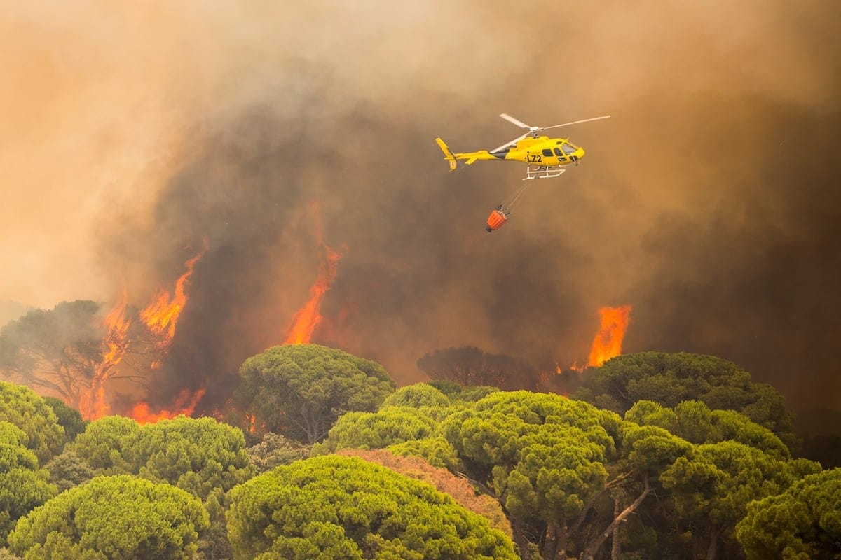 Los incendios de Madrid, Ávila y Toledo afectan ya a 77.000 hectáreas: “Es una situación endemoniada”