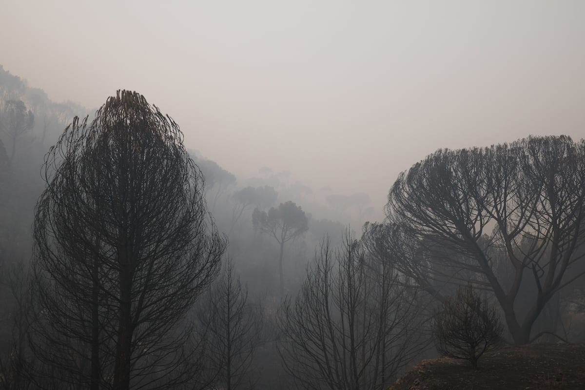 Claves de los incendios | Hectáreas quemadas, desalojos y carreteras cortadas
