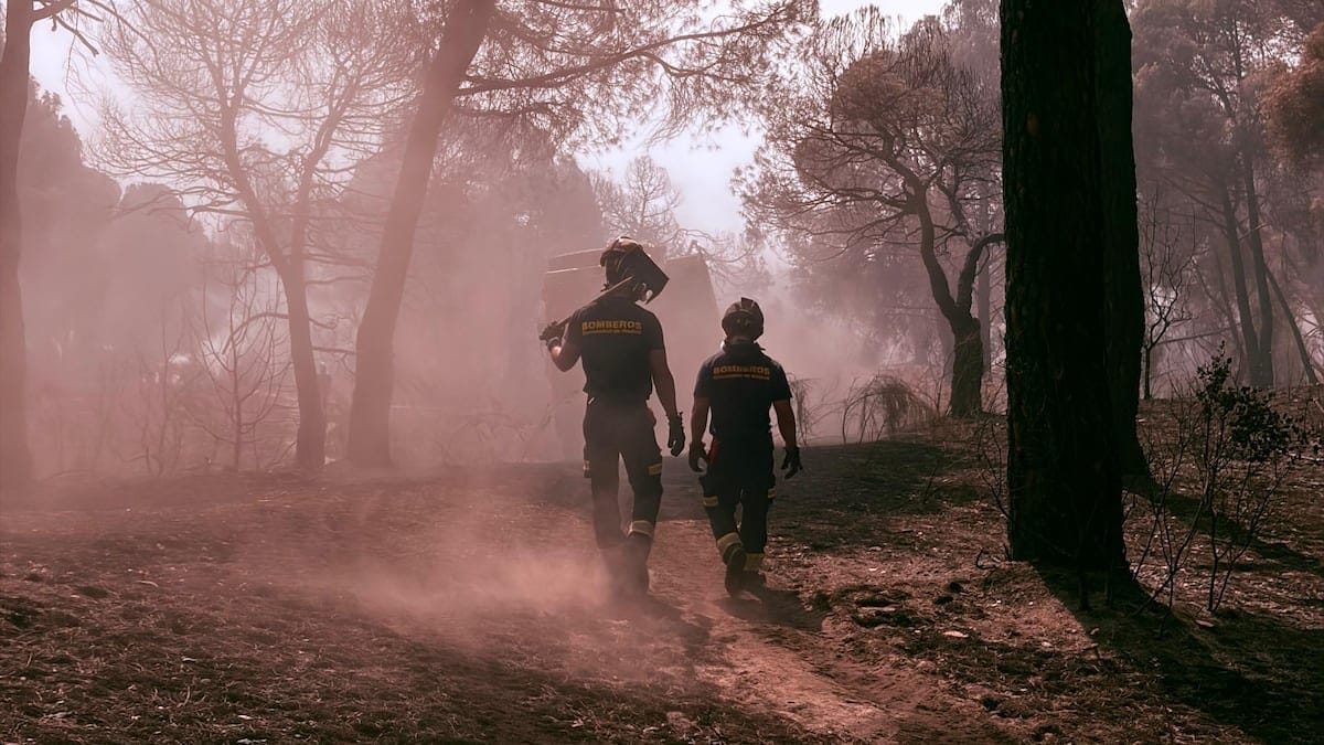 Diario de un bombero: la gran victoria ha sido la protección de la vida