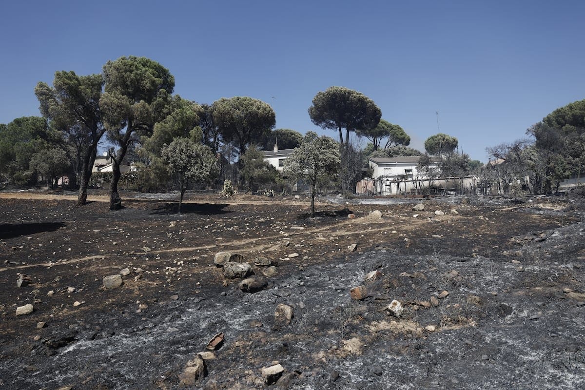 Más de 10.000 evacuados por tres incendios simultáneos en Madrid