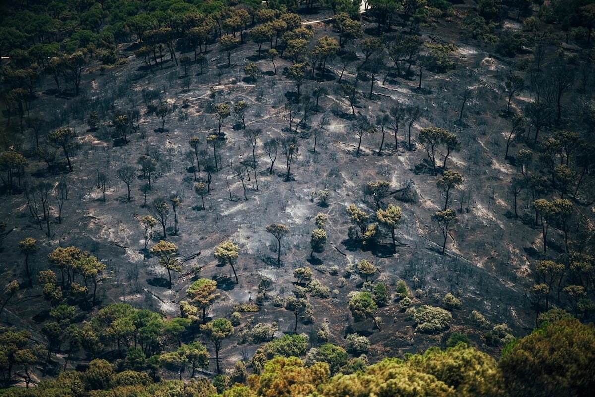 Incendios en España: el cambio climático y la gestión del territorio