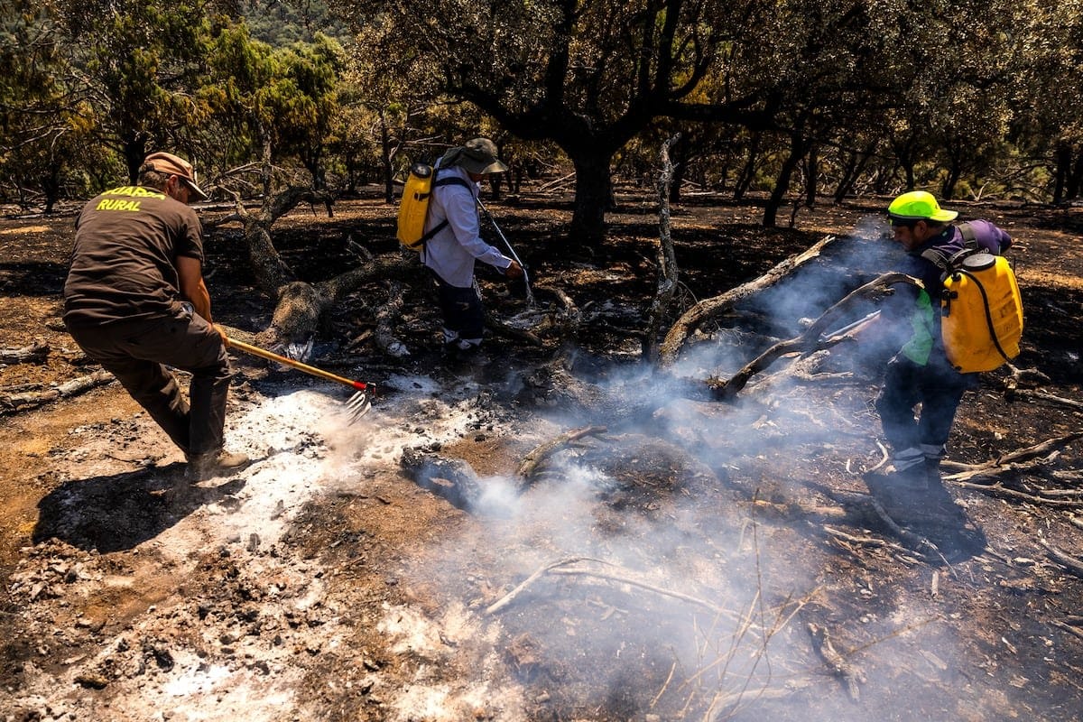 Incendios en la sierra oeste madrileña: la lucha contra el fuego