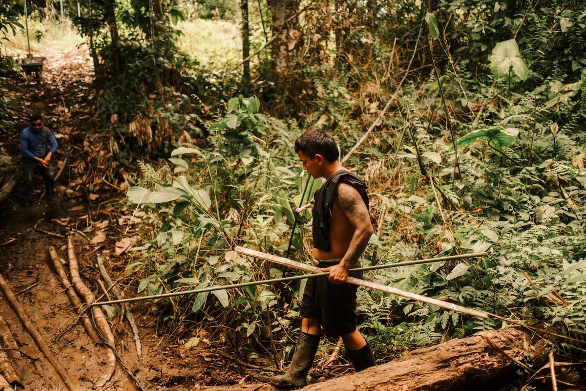 Excombatientes de los Comandos de la Frontera piden garantías para su reincorporación a la vida civil