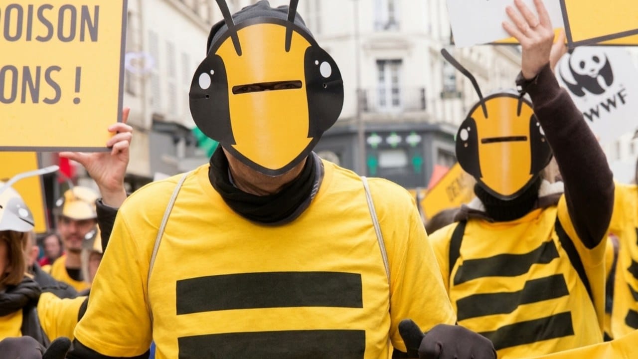 El regreso de dos pesticidas prohibidos en Francia: la presión política detrás del giro