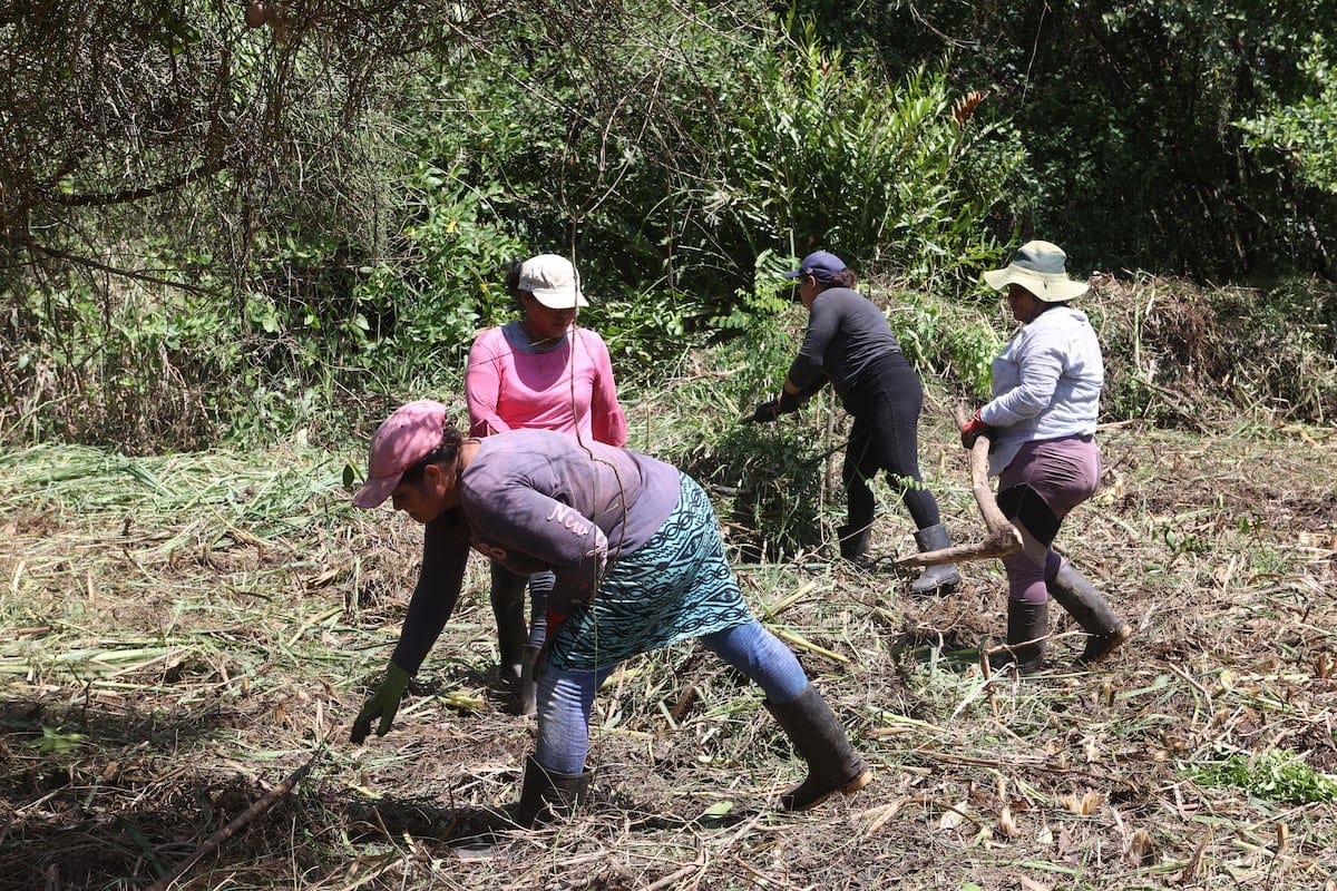 Mujeres lideran la restauración y protección de manglares en El Salvador