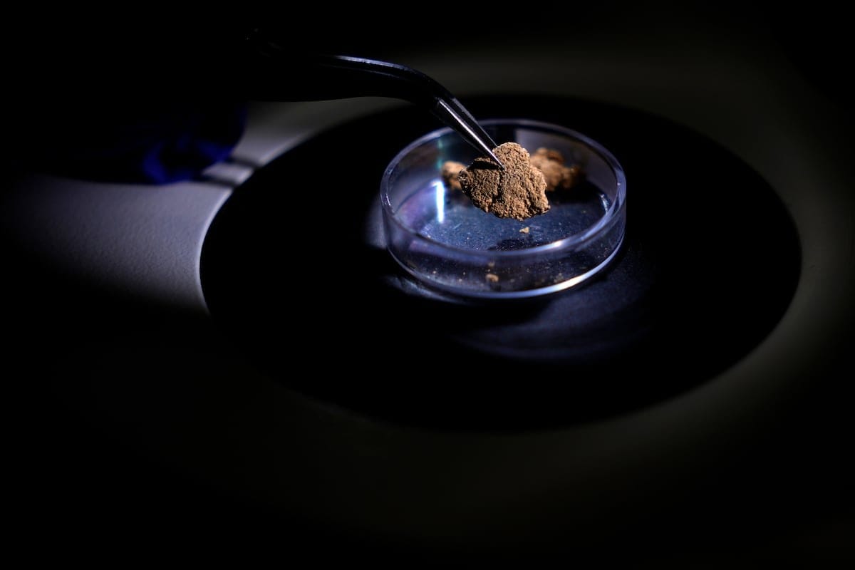Brasil usa la ciencia forense para combatir la minería ilegal
