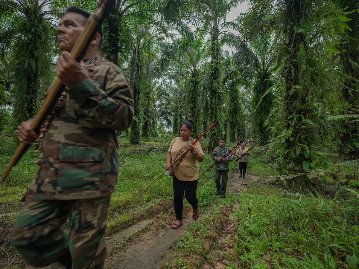 América Latina repite como la región más letal para defender el ambiente y la tierra: reportó el 85% de los casos en 2025